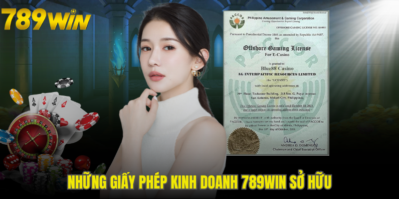 Những giấy phép kinh doanh 789WIN sở hữu