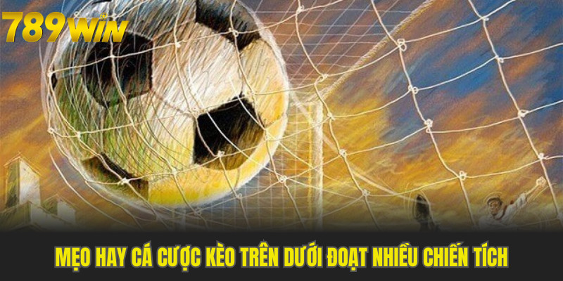 Mẹo hay cá cược kèo trên dưới đoạt nhiều chiến tích