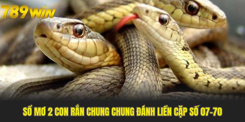 Sổ mơ 2 con rắn chung chung đánh liền cặp số 07-70