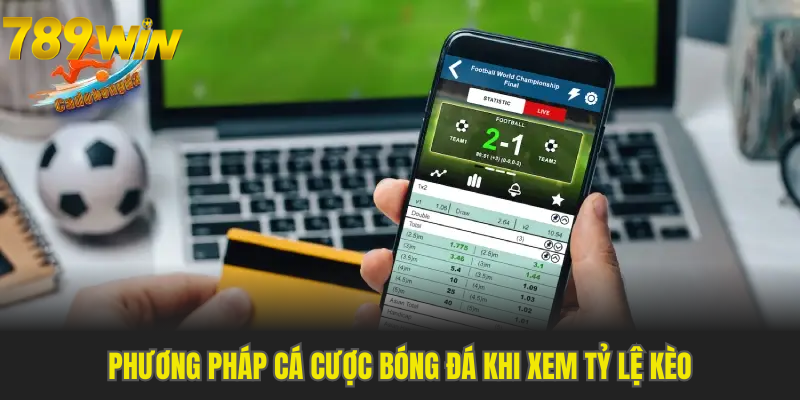 Phương pháp cá cược bóng đá khi xem tỷ lệ kèo